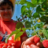 Maline su znoj, trnje u prstima i briga u grudima 3