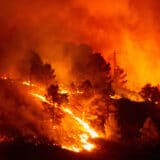 Italija traži pomoć od suseda zbog požara na Sardiniji 7