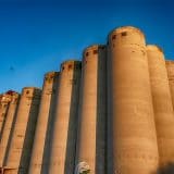 Izložba Svetlane Ninković i Sare Kujundžić od petka u Silosima 3