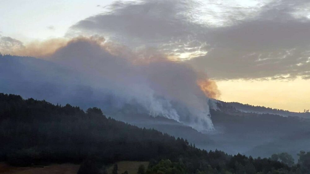 MUP: Zapadna strana požara kod Nove Varoši pod kontrolom 1