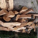 Uhapšen šumarski inspektor iz Vranja 15