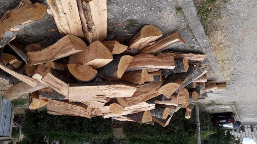 Uhapšen šumarski inspektor iz Vranja 1