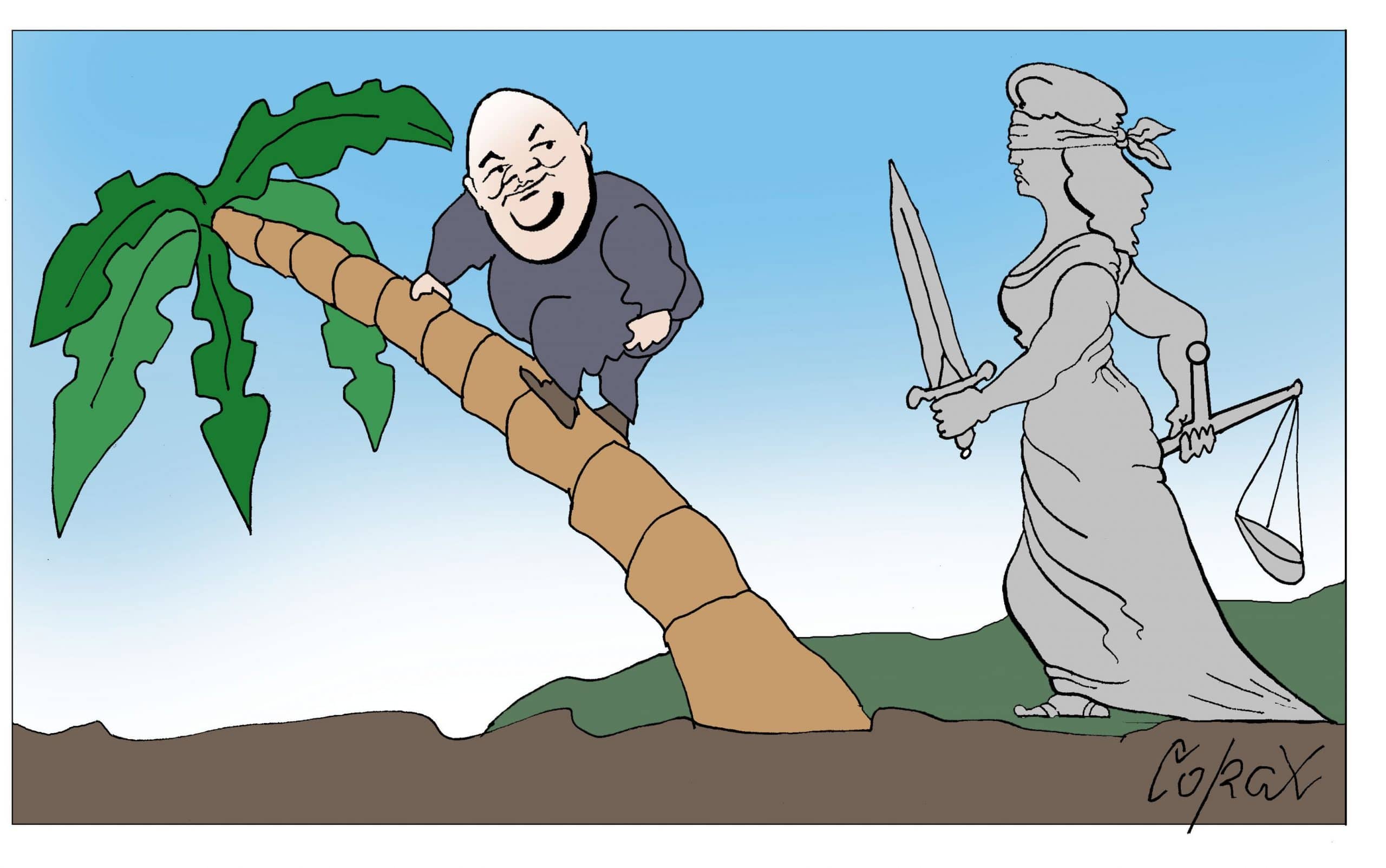 Corax 6