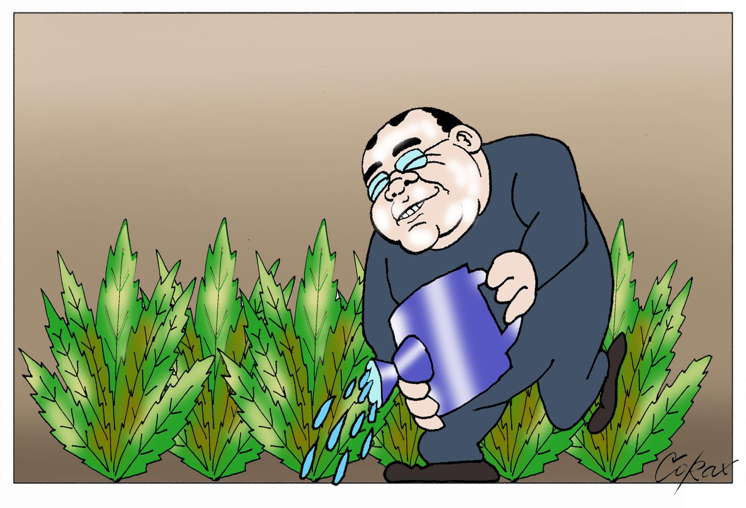 Corax 2