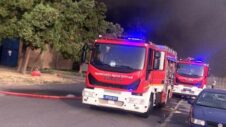 MUP: Lokalizovan požar u Luci Beograd (FOTO) 3