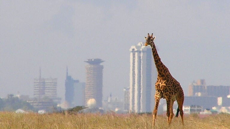 Afrika (6): Borba između prirode i novih gradova 1