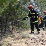 Požar na Mokroj Gori, stanovnici nisu ugroženi 15
