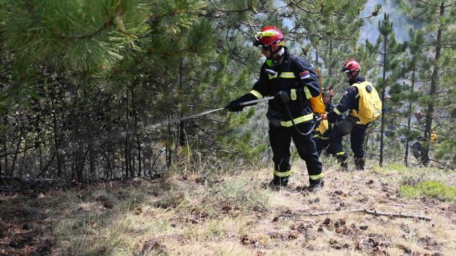 Požar na Mokroj Gori, stanovnici nisu ugroženi 1