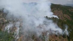 Požari na jugozapadu zemlje i dalje gore, Vulin obišao vatrogasce na Crnom Vrhu (FOTO) 6