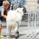 Vremenska prognoza za jun: Kakvo nas vreme čeka? 7