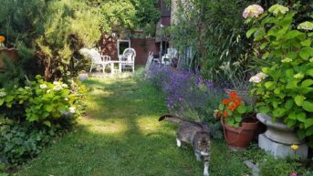 Proglašeni pobednici u tradicionalnoj akciji 'Za zeleniji Beograd' 5