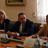 Vulin: Policija može da izriče hitne mere protiv počinioca nasilja u porodici 7