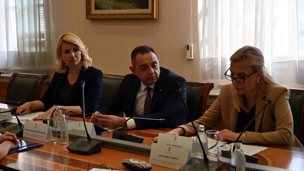 Vulin: Policija može da izriče hitne mere protiv počinioca nasilja u porodici 1