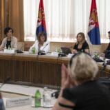 Gojković sa predstavnicima gradova i opština o rekonstrukciji dvoraca i vila 6