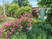 Proglašeni pobednici u tradicionalnoj akciji 'Za zeleniji Beograd' 3