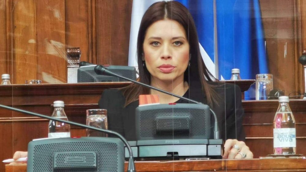 Irena Vujović zadržala funkciju u Nadzornom odboru SNS 1