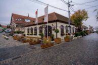 Proglašeni pobednici u tradicionalnoj akciji 'Za zeleniji Beograd' 10