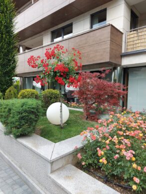 Proglašeni pobednici u tradicionalnoj akciji 'Za zeleniji Beograd' 7