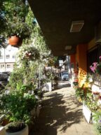 Proglašeni pobednici u tradicionalnoj akciji 'Za zeleniji Beograd' 6