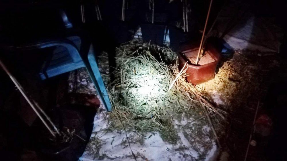 Laboratorija za uzgoj marihuane na tavanu u okolini Topole 1