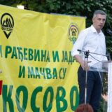 Obradović: Ujedinjene patriote zajedno imaju više od 15 odsto glasova 4