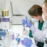 Šta znamo o virusu Zapadnog Nila? 1