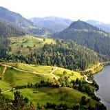 Uskoro ekološki park na Tari  1