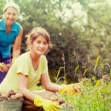 „Odgovornost i etika kao osnov za profesionalno izveštavanje“: Koliko su mediji svesni svoje uloge? 2