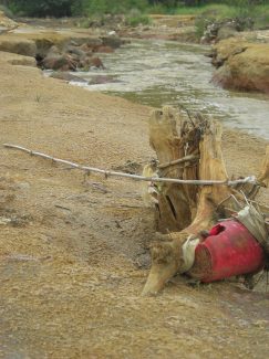 Borska reka, moja otrovna komšika 3