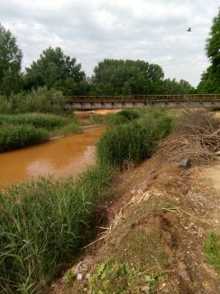 Borska reka, moja otrovna komšika 2