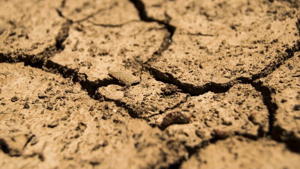 Kenija: Zbog suše 2,1 milion ljudi u opasnosti od gladi 1