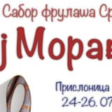 Zbirka instrumenata na 34. saboru frulaša „Oj, Moravo“ 2