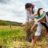 Cilj izložbe “Svedoci tradicije” popularizacija seoskog načina života 11