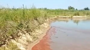 Sprovođenje referenduma o Rio Tintu predstavljalo bi simulaciju demokratije 2 Sprovođenje referenduma o Rio Tintu predstavljalo bi simulaciju demokratije 2