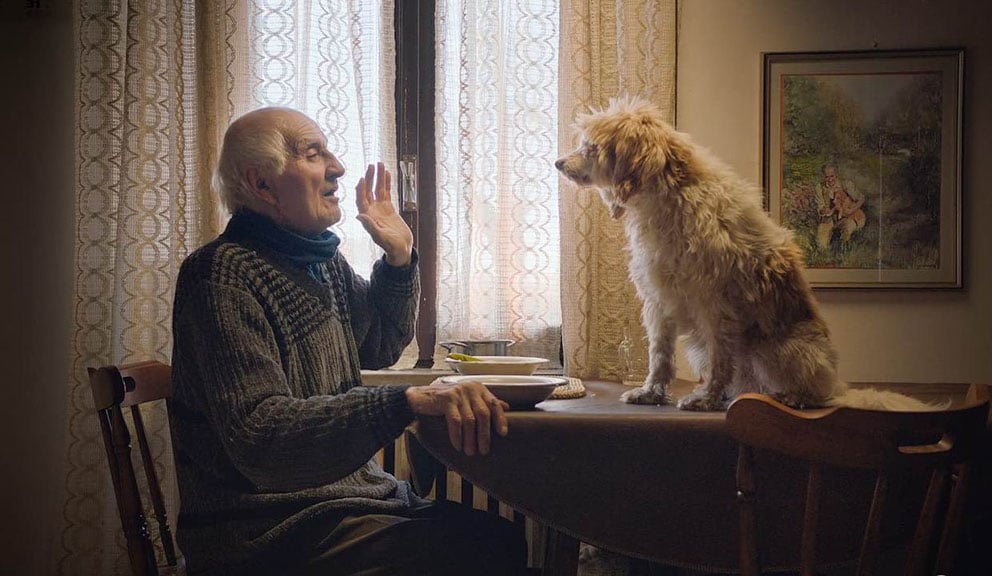 Motovun film festival od 27. do 31. jula 1