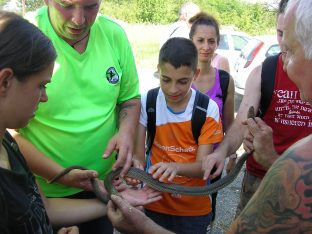 Decenija Udruženja "Divljina" za negovanje lepota prirode (FOTO) 2