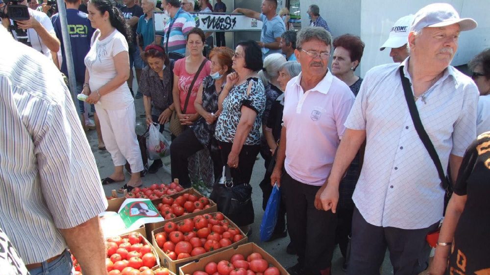 N1: Ponovo besplatno deljen paradajz u Leskovcu, krizni štab najavio dolazak ministra 1