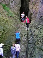 Decenija Udruženja "Divljina" za negovanje lepota prirode (FOTO) 3