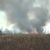 Lokalizovan požar kod Subotice, vatrogasac zadobio opekotine 13