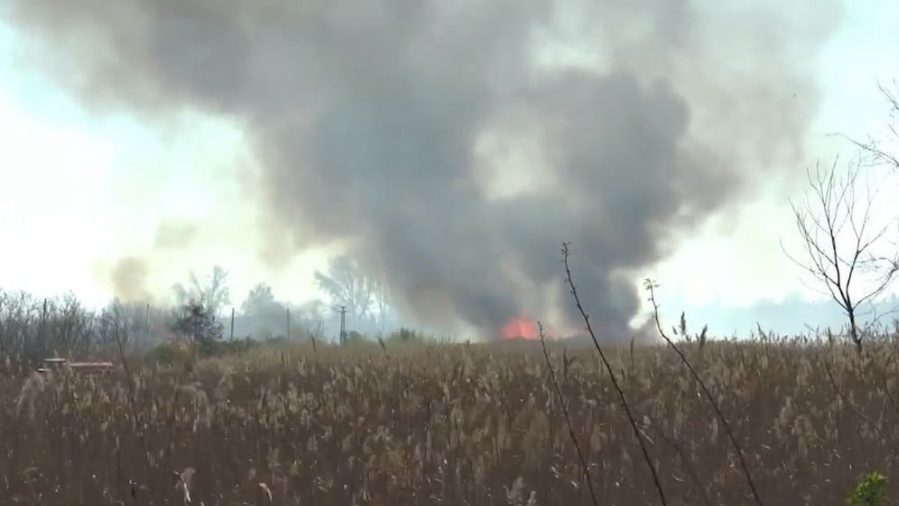 Lokalizovan požar kod Subotice, vatrogasac zadobio opekotine 1