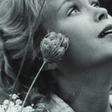 Festival evropskog filma Palić, 28. put od 17. do 23. jula 4