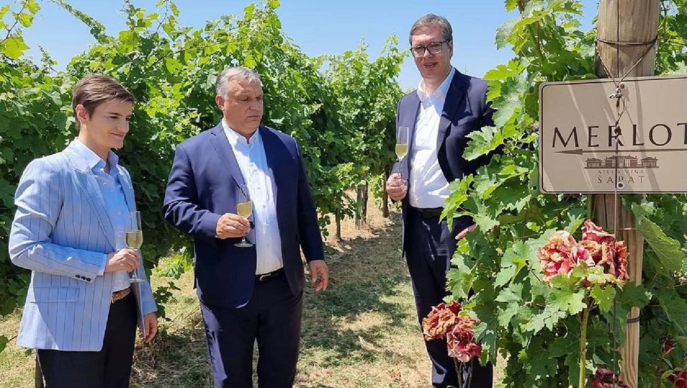 Vučić najavljuje novi vid saradnje s Orbanom: Zašto su dva lidera potrebna jedan drugom? 12