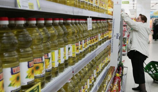 Vlada zabranila izvoz suncokretovog ulja 12