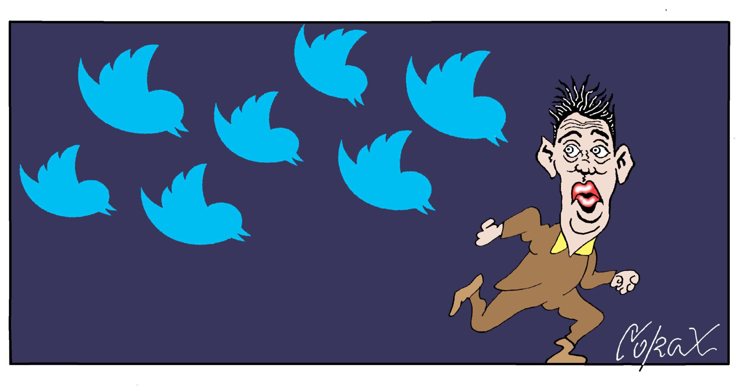 Corax 13