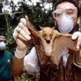 Šta je marburg virus i kako se prenosi: Mučan tok bolesti i neizvesno preživljavanje 4