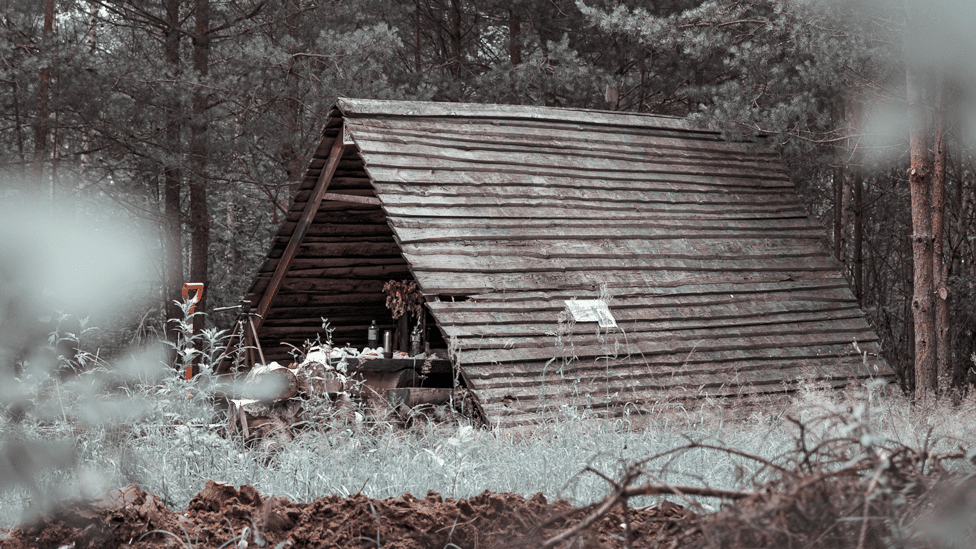 Rusija, misterije i nestanak: „Smolenski Tvin Piks” - nestanak srednjoškolca u Rusiji 4 Forest