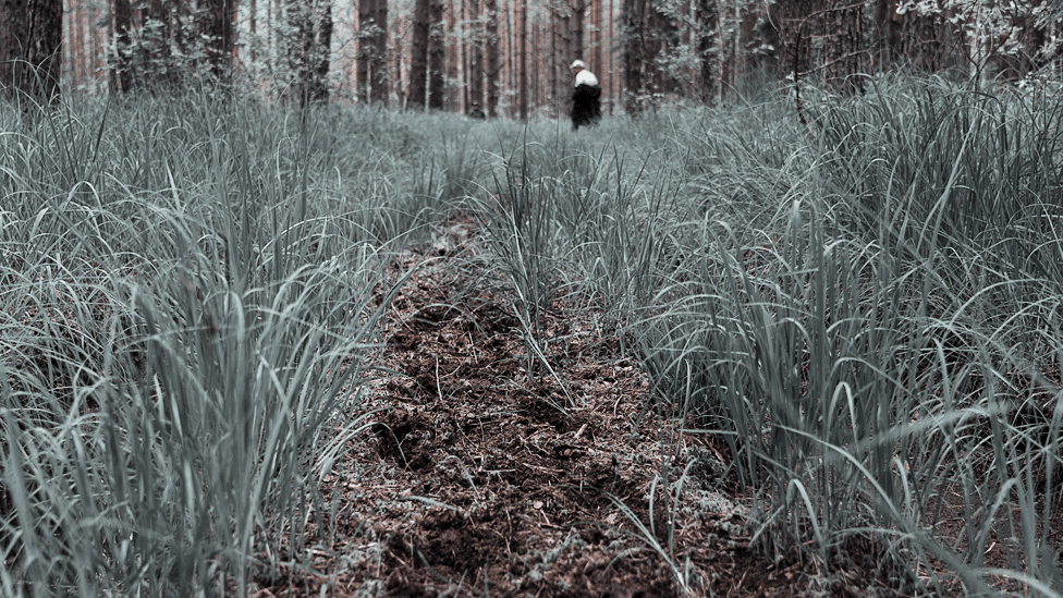 Rusija, misterije i nestanak: „Smolenski Tvin Piks” - nestanak srednjoškolca u Rusiji 15 V lesu