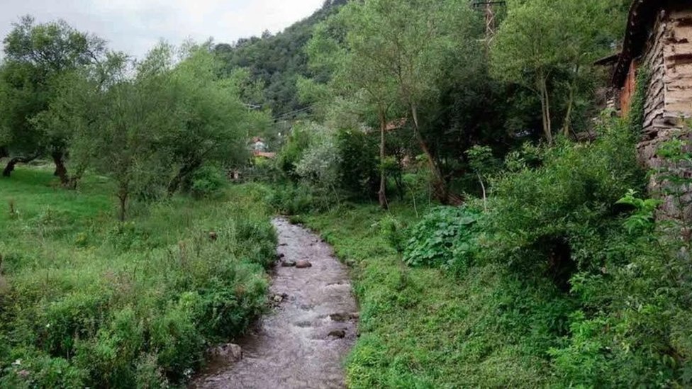 Ekologija, reke u Srbiji i male hidroelektrane: Šta donose izmene Zakona o zaštiti prirode i gde je zabranjena gradnja MHE 1 reka