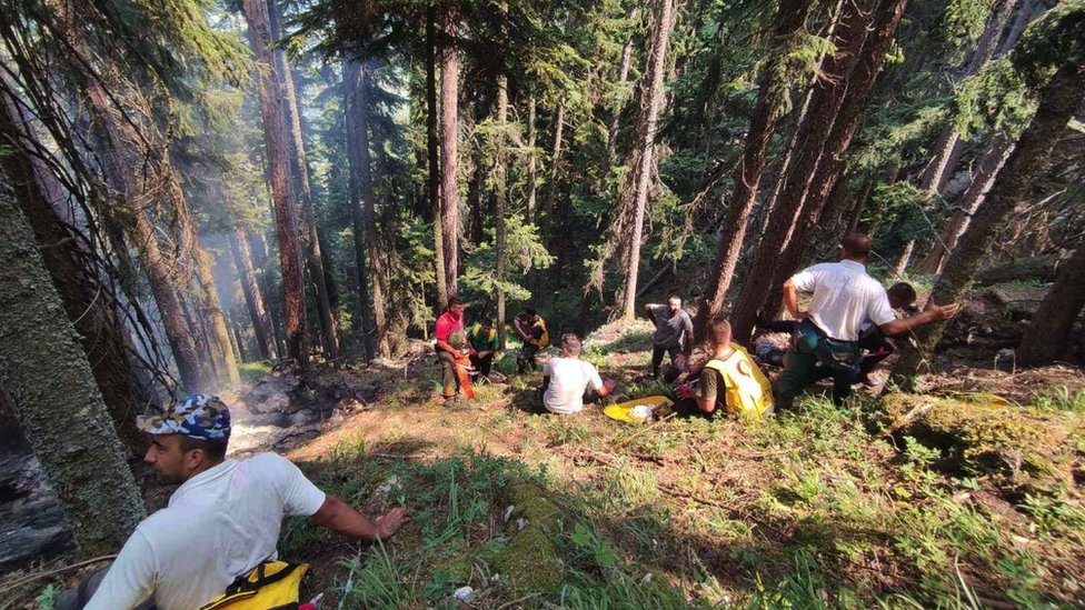 Srbija, priroda i požari: Zašto dolazi do šumskih požara 2 požar na tari