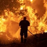Klimatske promene i Grčka: Na ostrvu Evija sve gore, vetar otežava posao vatrogascima 11